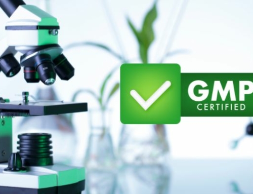 Beyond Compliance: The Pillars of GMP Certification in Manufacturing Health Supplements